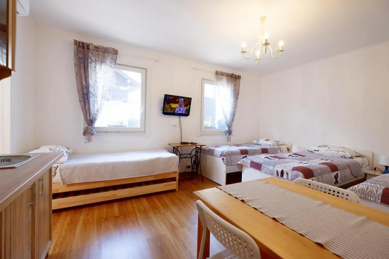 Eco-Lux Apart With Free Bicycles End Free Parking Lubiana
